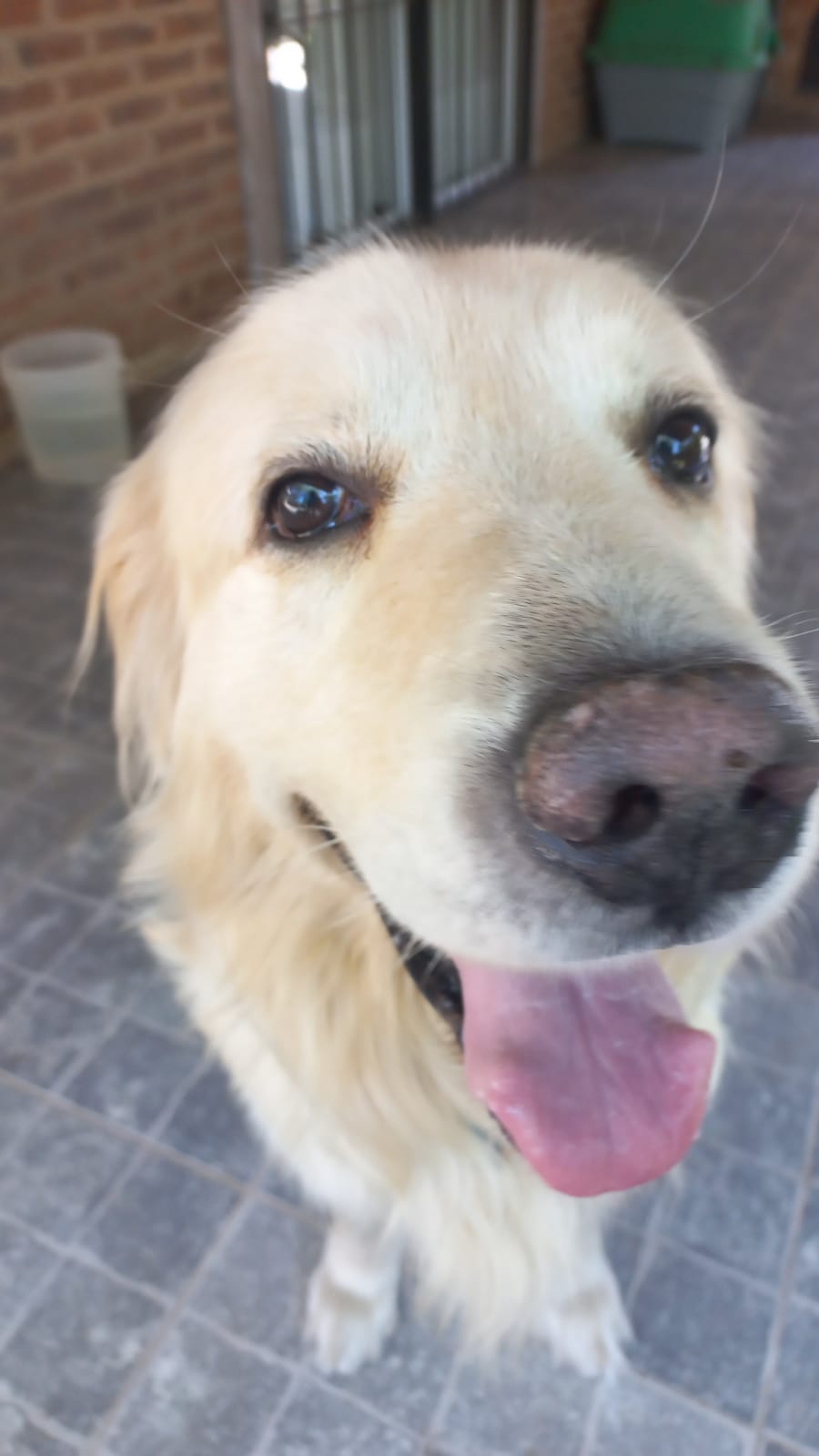 El Ruso